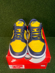 Nike Dunk Low Michigan (2021) USED