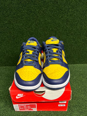 Nike Dunk Low Michigan (2021) USED