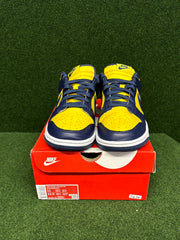 Nike Dunk Low Michigan (2021) USED