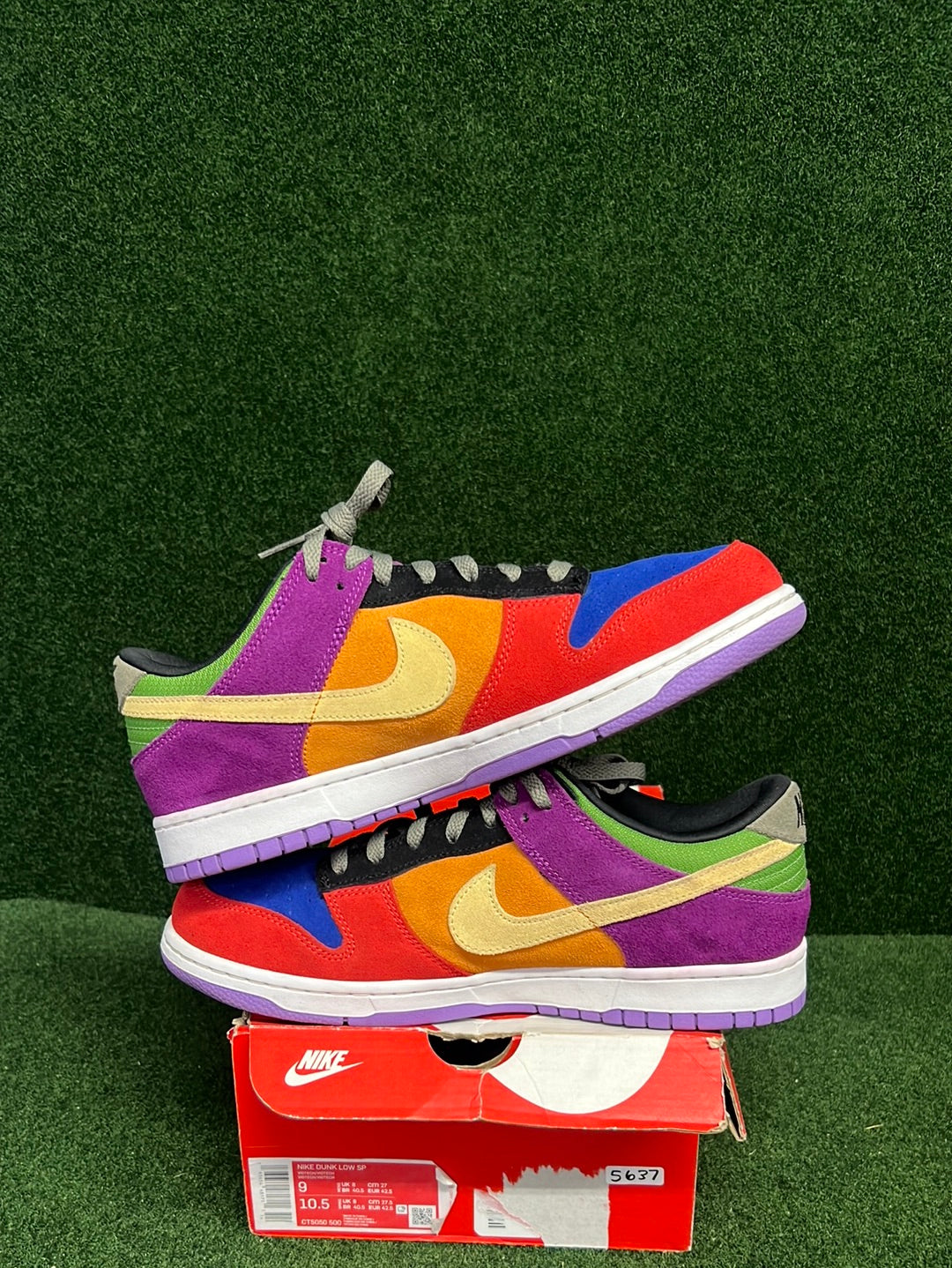 Nike Dunk Low Viotech (2019) USED