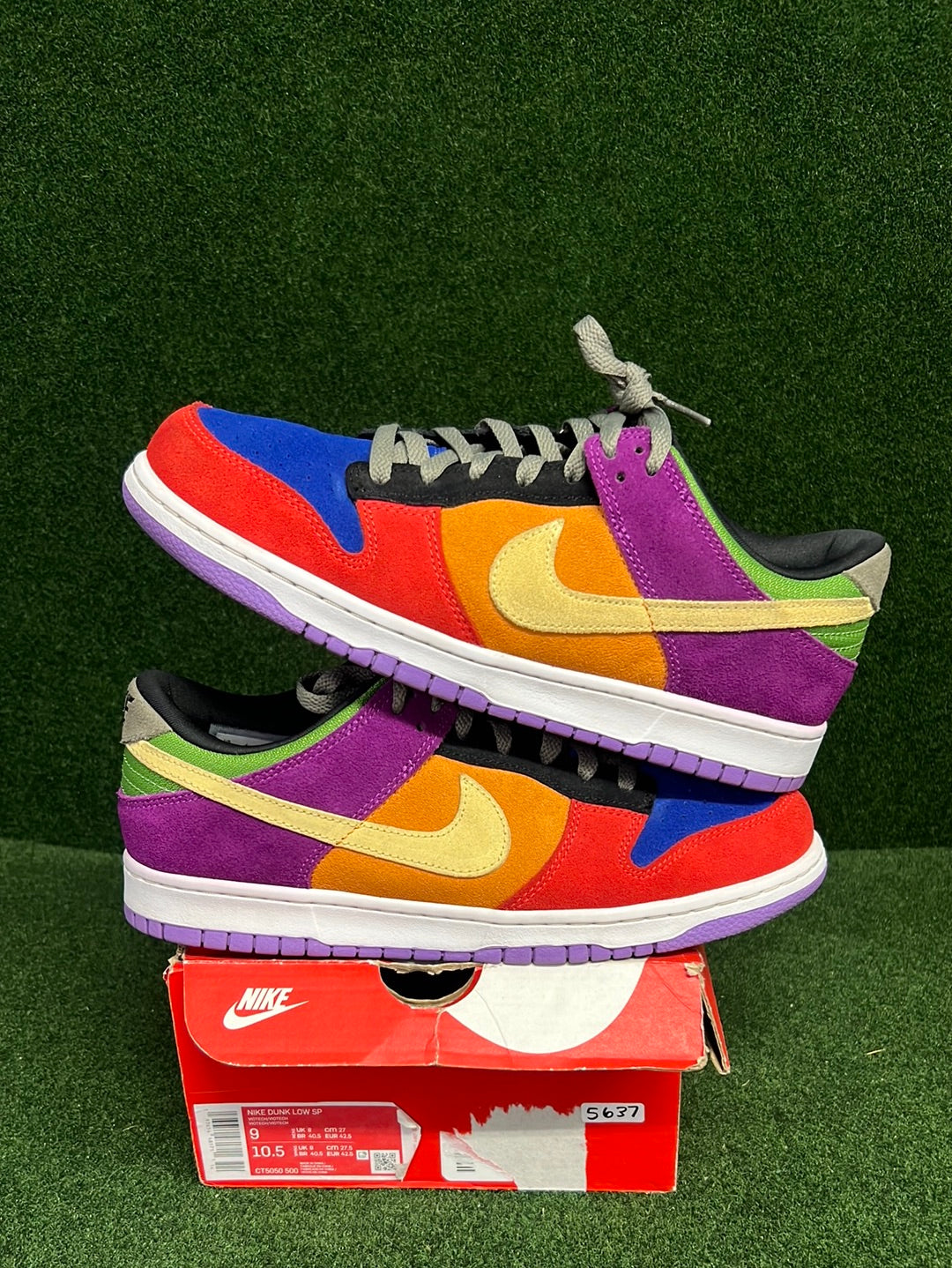 Nike Dunk Low Viotech (2019) USED